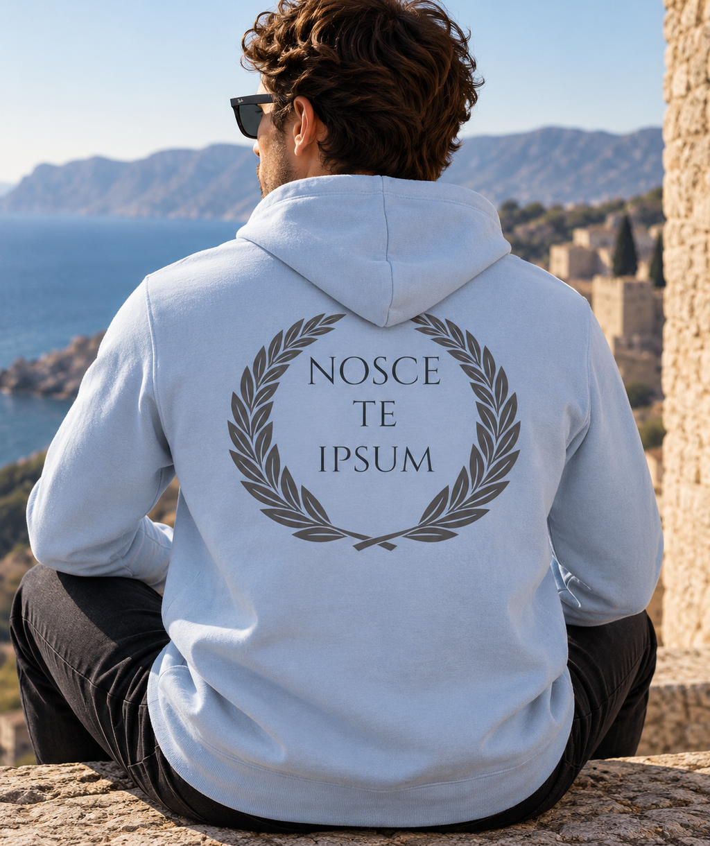 Sudadera Nosce Te Ipsum - vista de espaldas