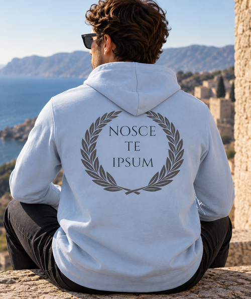 Sudadera Nosce Te Ipsum - vista de espaldas